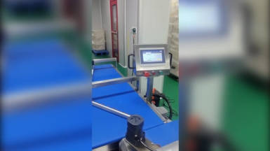 DXD 300 Servo Flow Wrapper